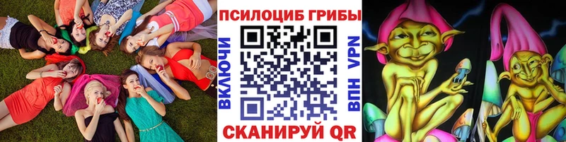 Галлюциногенные грибы Magic Shrooms  Терек 